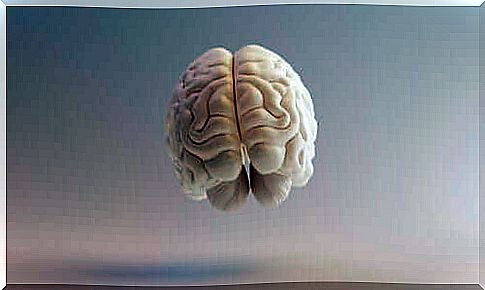 Front view of the brain.