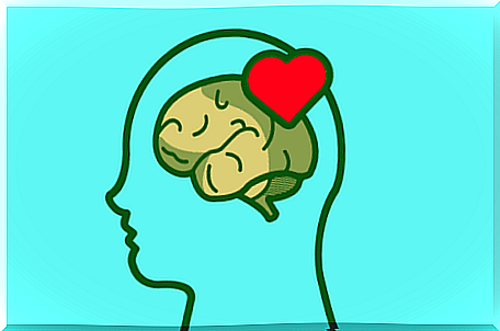 Emotional self-regulation, head with brain and heart.