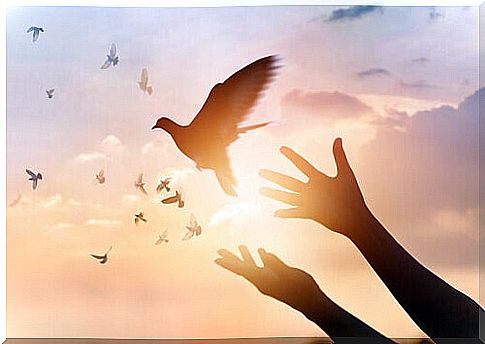 Hands that free doves so they can fly away