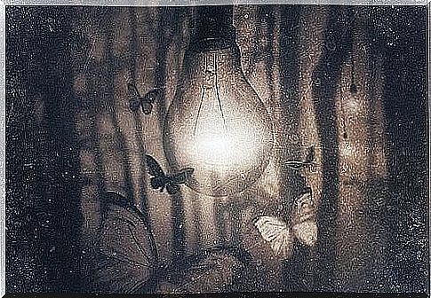 lamp-with-butterflies