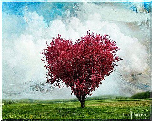 red tree in the shape of a heart