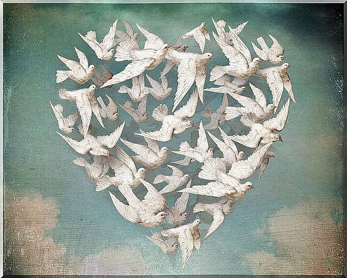 heart-made-of-birds