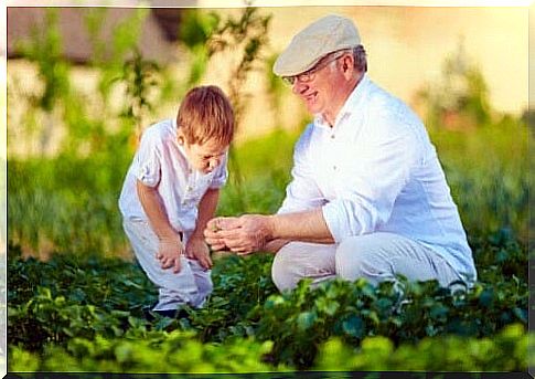 Grandfather and grandson cultivating the vegetable garden.