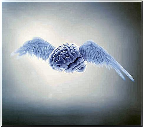 Winged brain