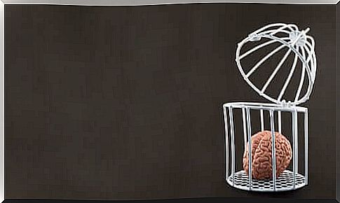 Caged brain