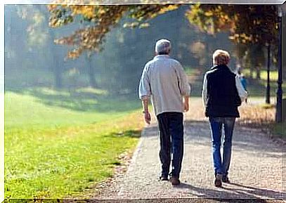 Elderly couple strolls in the park.