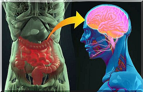 Stomach and brain: how are they connected?