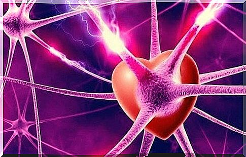 Neuronal structures and the heart