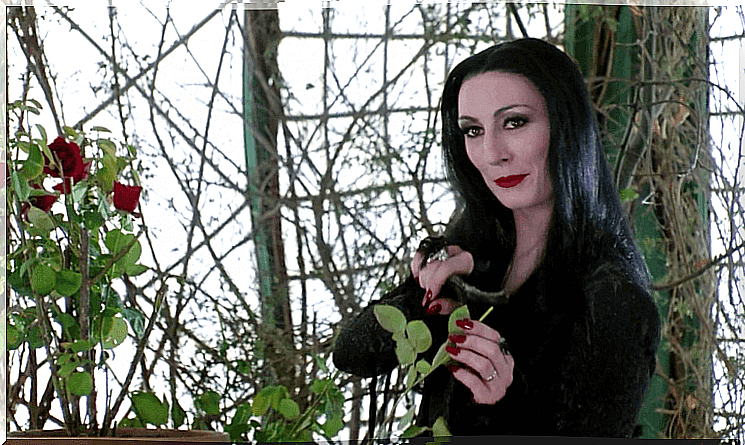 Anjelica Huston as Morticia