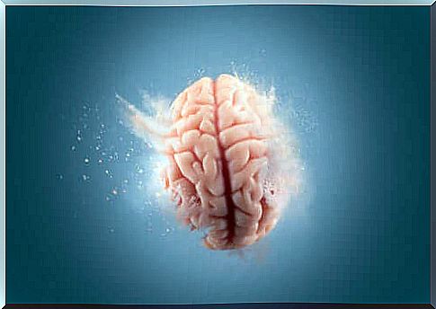 The effects of cocaine on the brain