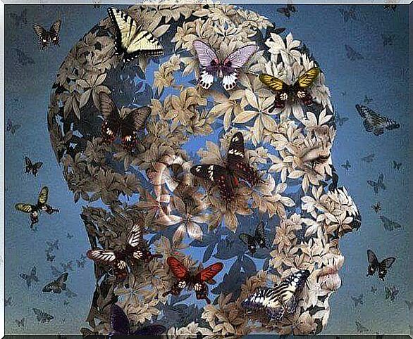 head formed by butterflies