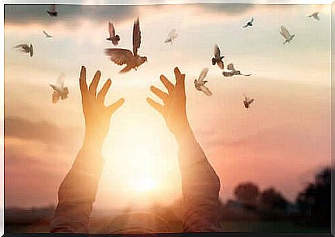 Hands that release doves in the sky and resilience